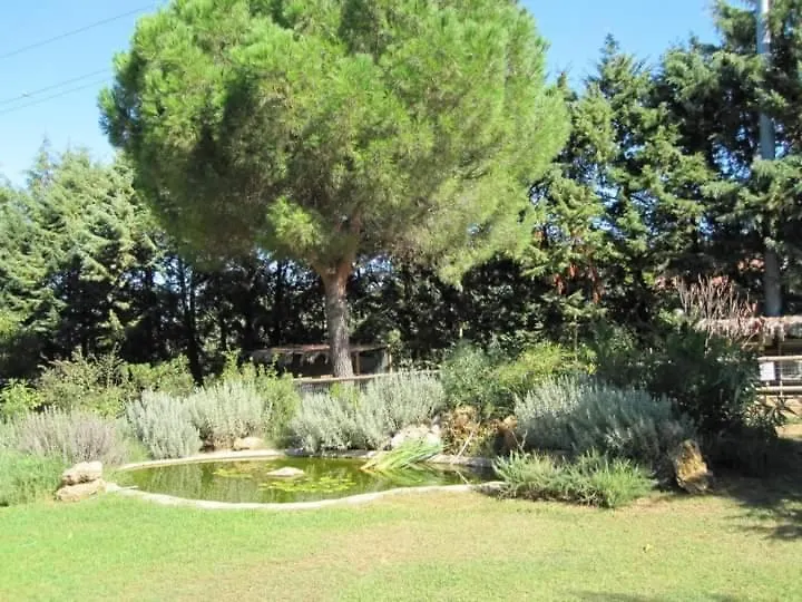 Holiday home Parco Delle Streghe Villa Scarlino Italy